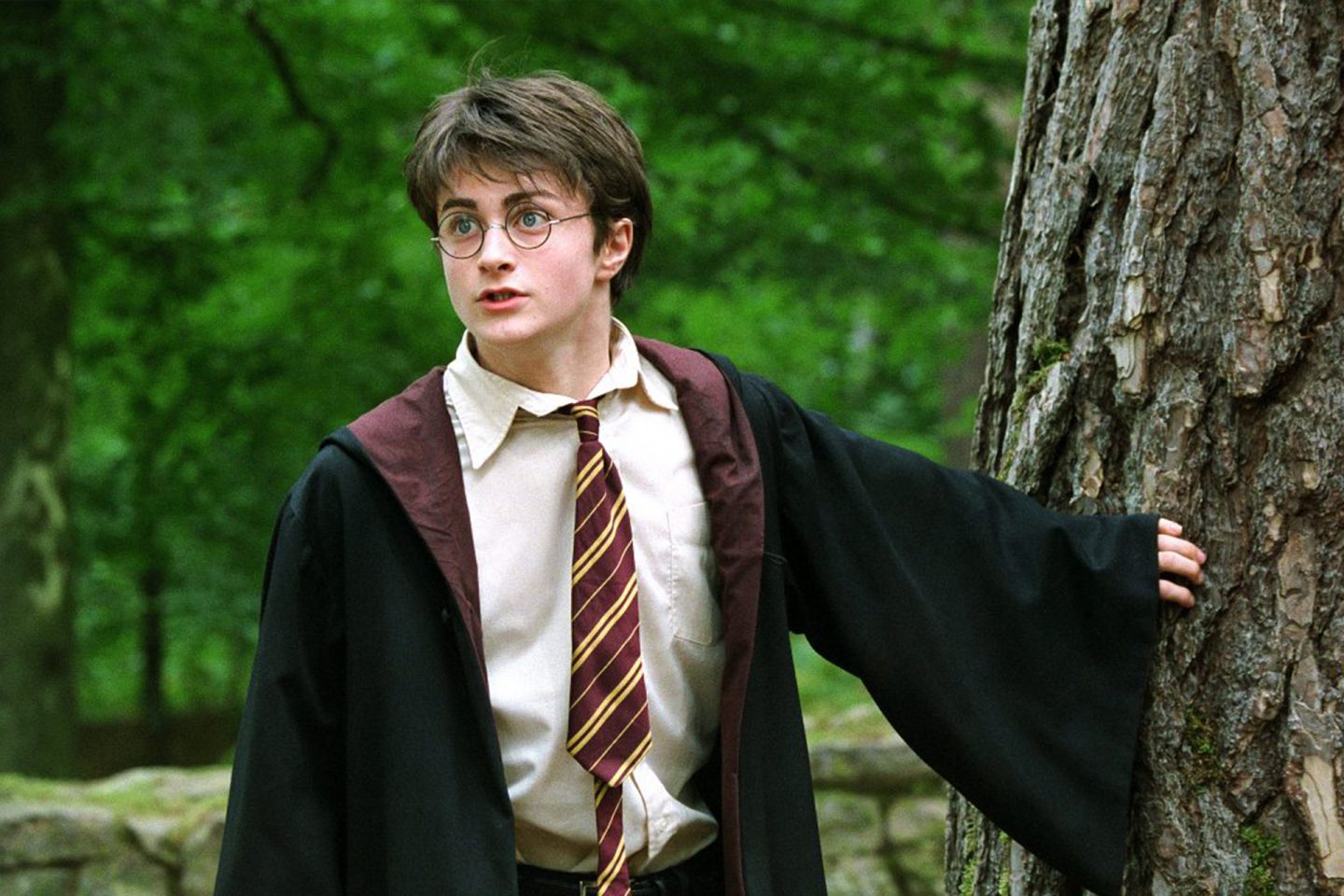 Серия фильмов о Гарри Поттере (с 2001 года)